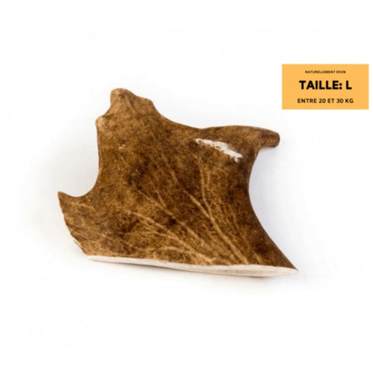Bois de daim taille XXL - L endroit par Fée