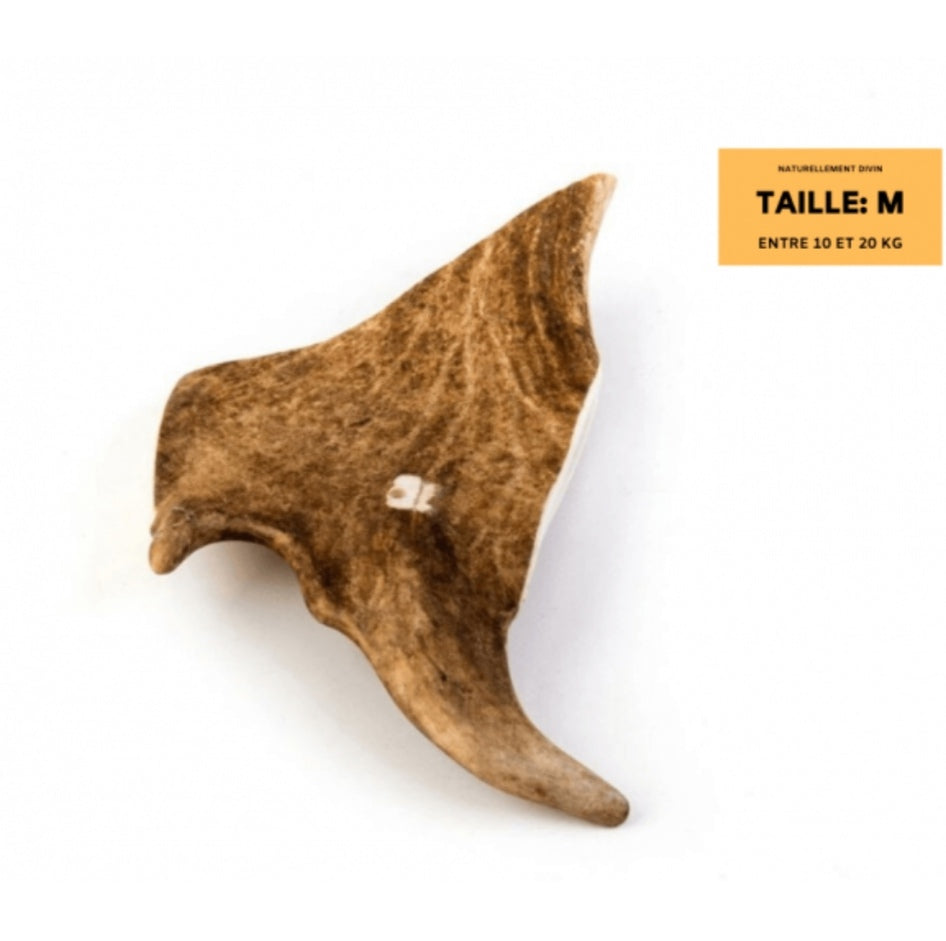 Bois de daim taille M - L endroit par Fée