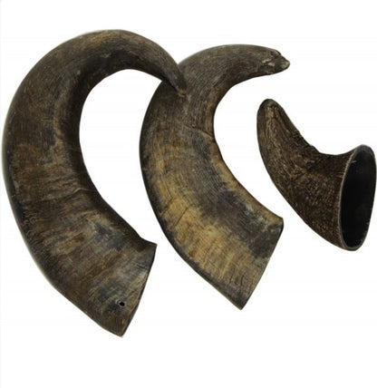 Corne de buffle Taille L - L endroit par Fée