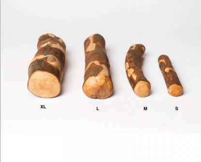 Bâton à mâcher en bois d'olivier taille XL - L endroit par Fée