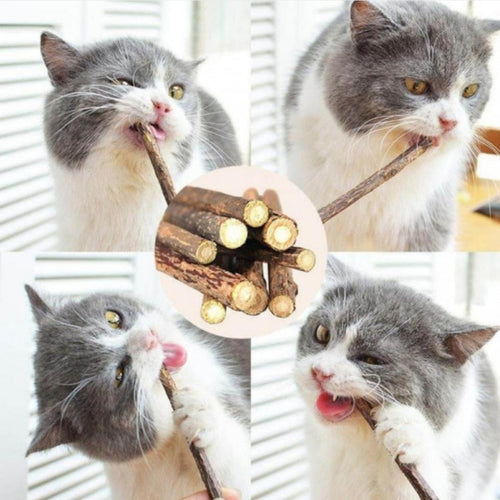 Matatabi bâtonnet à l'unité - L endroit par Fée